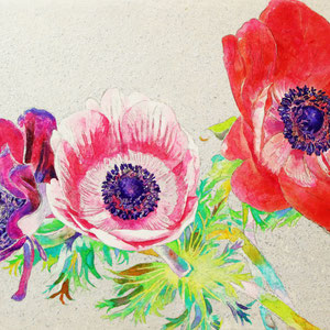 《アネモネ》  24.2×33.3cm　2015