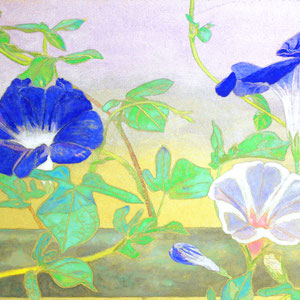 《朝顔》　22.0×37.3cm　2016
