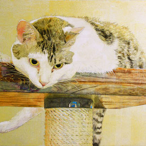《みつめる》　31.8×41.0cm　2016