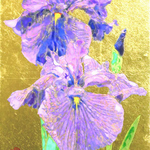 《花菖蒲》　SM　2019