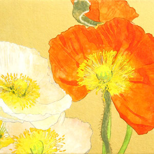 《Poppy》　SM　2017