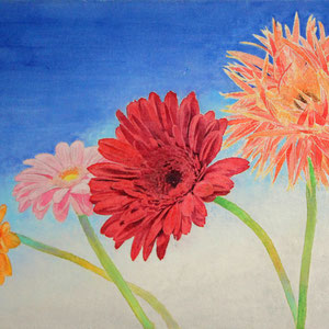 《Gerbera》　F4　2017