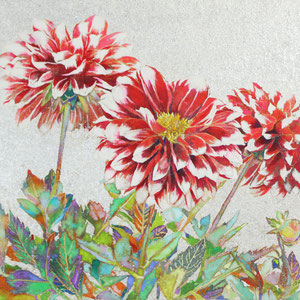 《Dahlia》  24.2×33.3cm　2014