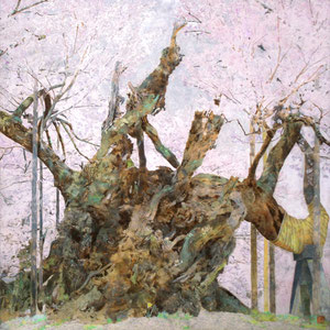 《桜樹》　S10　2018