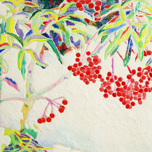 《雪万両》　10.0×14.8cm　2015