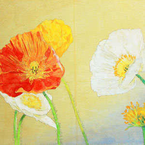 《Poppy》　22.0×27.3cm　2016
