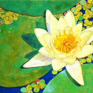 《睡蓮》　15.8×22.7cm　2017