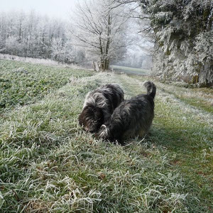 links Anna, rechts Caatje