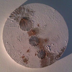Canvas Sculpture - The Elements 4: Invisible Thread, Acrylic, Enamel  & Shell,30cm diameter, 2012.