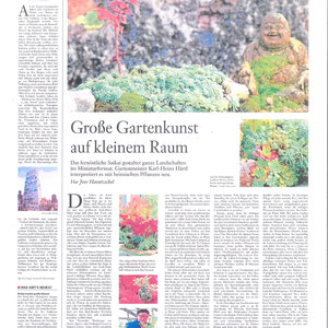 Frankfurter Allgemeine Sonntagszeitung, 23. Mai 2021