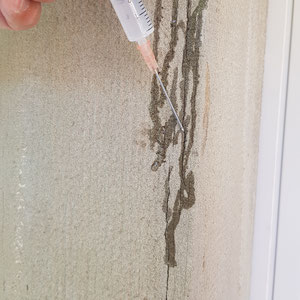 Amthaus Saanen, Rorschacher Sandstein, Restaurierung, Renovierung, André Iseli Steinmetz