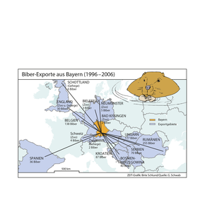 Infografik Biber-Exporte