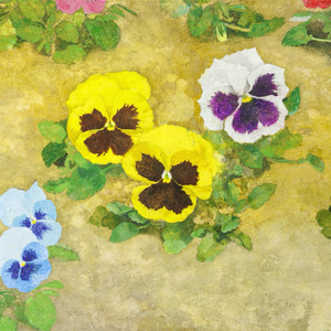 《Pansy》　28.1×45.8㎝　2025加筆