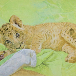《黄金の眼差し》　P6　2023