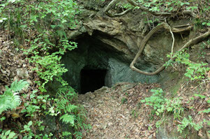 今日の洞窟
