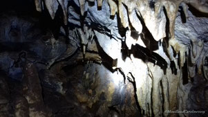 Visite d'une grotte