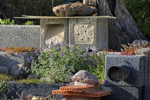 Insektengarten © Eric Fischer 
