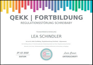 QEKK Fortbildung - Regulationsstörung Schreibaby