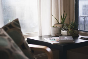 ciò che viene curato, cresce. Meditazione zen del seme 