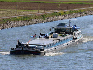 ms Westropa