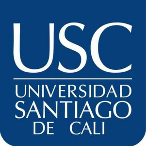 Página web de usc-articulo-lasclavesdelseo