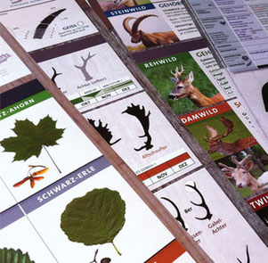 Jagdplakate Jagdvorbereitung Schalenwild, Bäume, Tabelle