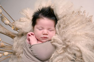 newbornshoot studio hellevoetsluis