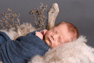 newbornshoot studio hellevoetsluis