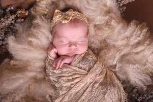 newbornshoot studio hellevoetsluis