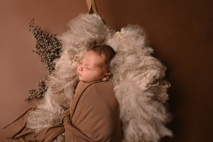 newbornshoot hellevoetsluis