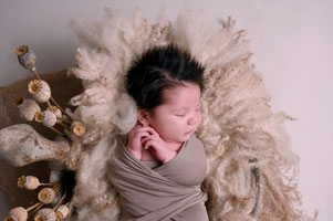 newbornshoot studio hellevoetsluis