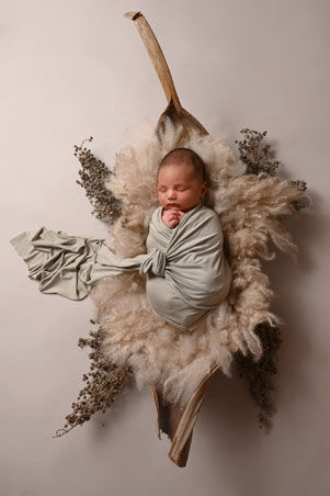 newbornshoot  hellevoetsluis