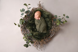 newbornshoot hellevoetsluis regio rotterdam
