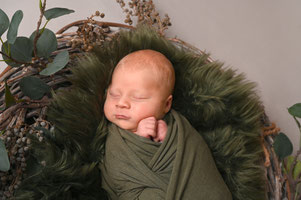 newbornshoot hellevoetsluis regio rotterdam