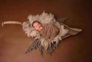newbornshoot hellevoetsluis