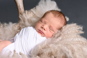newbornshoot studio hellevoetsluis