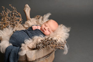 newbornshoot hellevoetsluis regio rotterdam