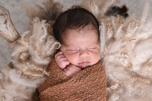 newbornshoot studio hellevoetsluis