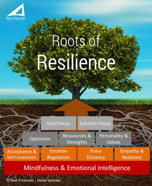 The mindfulness based Resilience Pyramide 