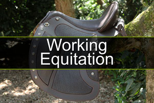 Gebrauchtsättel der Kategorie Working Equitation