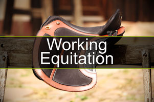 Link zur Kategorie Working Equitation