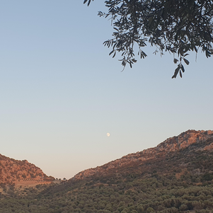 Mondin im Hinterland von Kreta