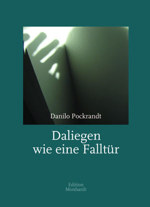 Das Bild zeigt das Cover von Daliegen wie eine Falltür.
