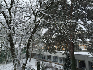 Das war Schnee von gestern. Heute ist er bereits wieder weg.