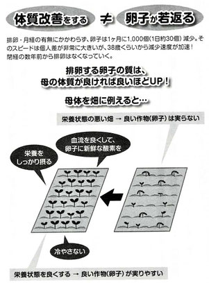 体質改善をする≠卵子が若返る