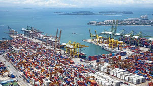 Product Environmental Requirements Export