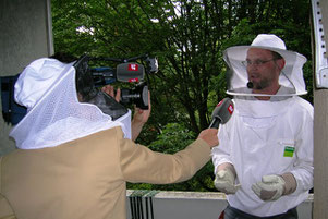 Biozida Schädlingsbekämpfung bei der Hornissenumsiedlung im Schweizer Fernsehen SRF (Tagesschau) 2006