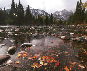 musique et nature Alpes