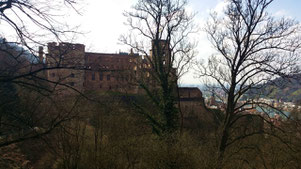 Heidelberger Schloss, Blick vom Hortus Palatinus auf den Ottheinrichsbau