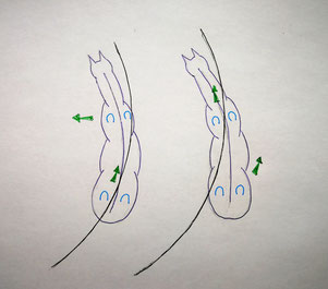 Schulterherein (links) vs. Übertreten lassen (rechts)